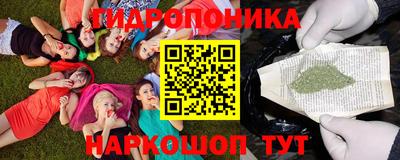 ALPHA PVP Аргун