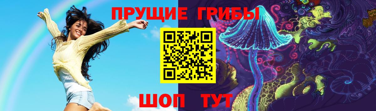 Белебей  Псилоцибиновые грибы Cubensis  Вход с VPN 